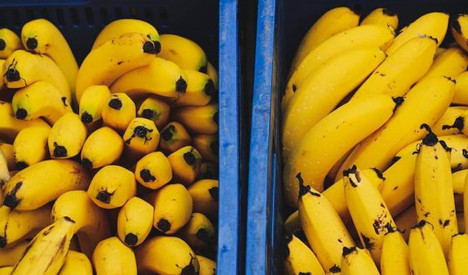 waarom-zijn-bananen-krom